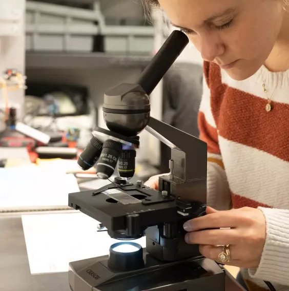 Carson MS-100 Masaüstü 100x-1000x Biyolojik Mikroskop - 3