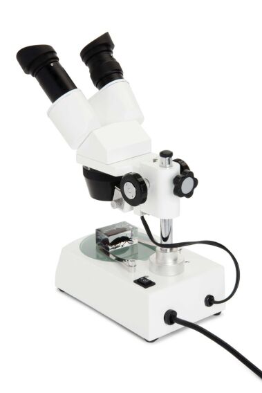 Celestron Labs S10-60 Stereo Mikroskop - 3