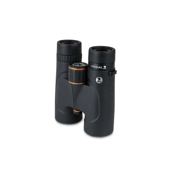 Celestron Regal ED 10x42mm Roof Dürbün - 4