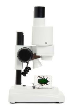 Celestron 44207 S20 Stereo Mikroskop - 7