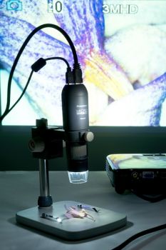 Celestron 44316 1080P HDMI Girişli Dijital Mikroskop - 10