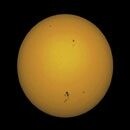 ​Thousand Oaks Solarlite 5.0'' (127mm) Güneş Filtresi - 2