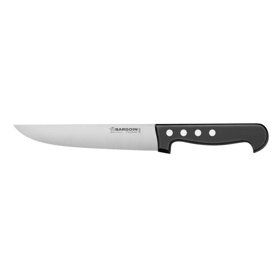 Fischer 310 20cm 4 Perçinli Kasap Bıçağı, Siyah - 1