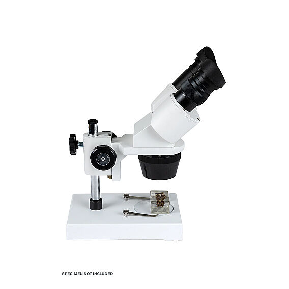 Celestron Labs S1030N Stereo Mikroskop - 5