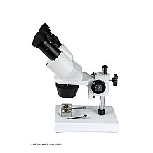 Celestron Labs S1030N Stereo Mikroskop - 6