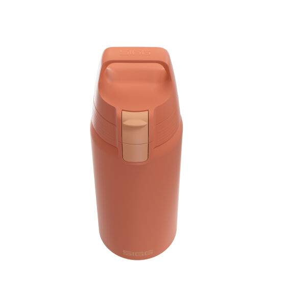 Sigg 6022.40 Therm One 0,5L Termos, Tarçın - 2