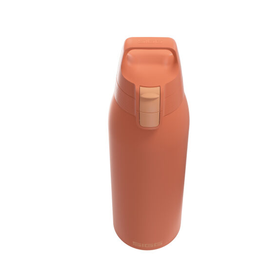 Sigg 6021.80 Therm One 1L Termos, Tarçın - 2