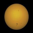Thousand Oaks Solarlite 8'' (203mm) Güneş Filtresi - 2