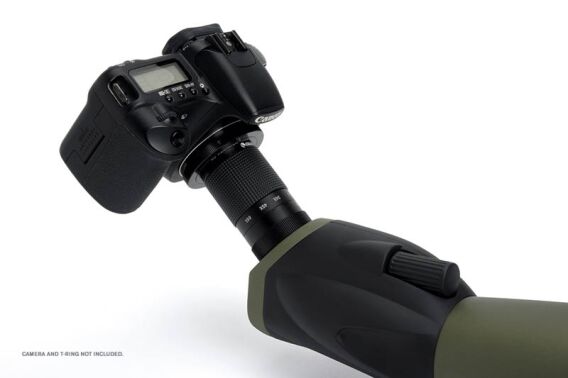 Celestron Ultima 22-66x100mm Spotting Scope - 6
