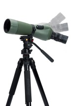 Celestron Regal M2 16-48x65mm ED Spotting Scope - 7