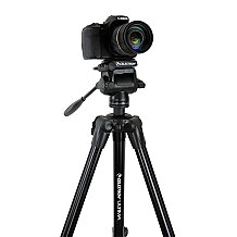 Celestron Ultima Pan Tilt Head Tripod - 4