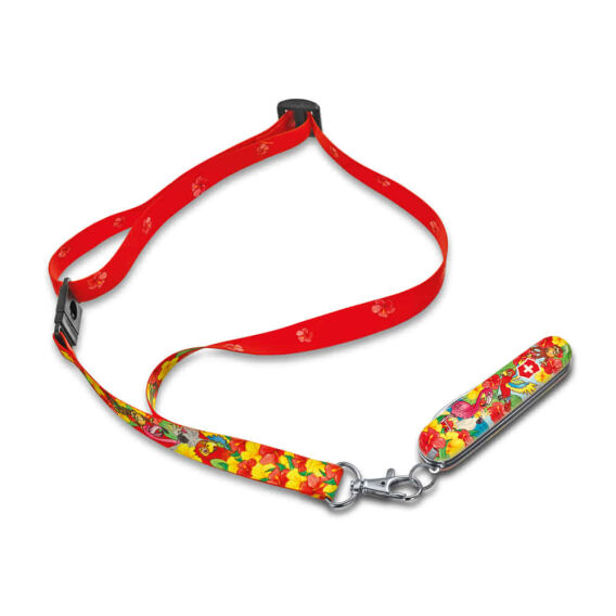 ​Victorinox 0.2373.E3 My First Victorinox Papağan Desenli Çakı ve Boyama Kitabı - 4
