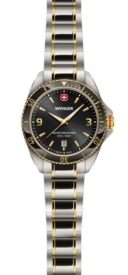 Wenger 01.2031.104 Executive Quartz Erkek Kol Saati - 3